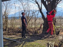 whatsapp image 2026-03-19 at 18.09.42 2